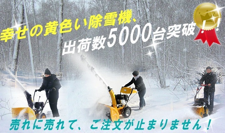 家庭用小型除雪機が安い通販はココ